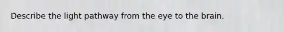 Describe the light pathway from the eye to the brain.