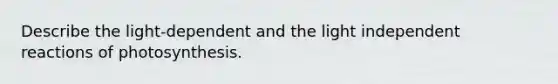 Describe the light-dependent and the light independent reactions of photosynthesis.