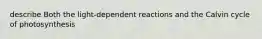 describe Both the light-dependent reactions and the Calvin cycle of photosynthesis