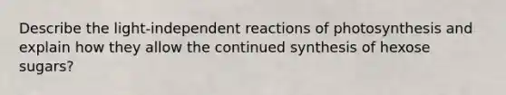 Describe the light-independent reactions of photosynthesis and explain how they allow the continued synthesis of hexose sugars?