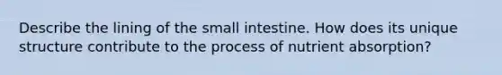 Describe the lining of the small intestine. How does its unique structure contribute to the process of nutrient absorption?