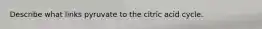 Describe what links pyruvate to the citric acid cycle.