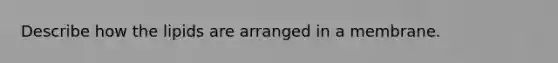 Describe how the lipids are arranged in a membrane.