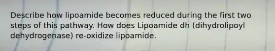 Describe how lipoamide becomes reduced during the first two steps of this pathway. How does Lipoamide dh (dihydrolipoyl dehydrogenase) re-oxidize lipoamide.