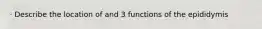 · Describe the location of and 3 functions of the epididymis