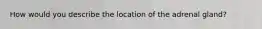 How would you describe the location of the adrenal gland?