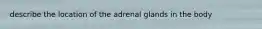 describe the location of the adrenal glands in the body