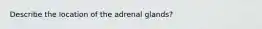 Describe the location of the adrenal glands?