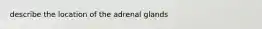 describe the location of the adrenal glands