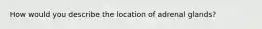 How would you describe the location of adrenal glands?