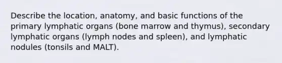 Describe the location, anatomy, and basic functions of the primary lymphatic organs (bone marrow and thymus), secondary lymphatic organs (lymph nodes and spleen), and lymphatic nodules (tonsils and MALT).