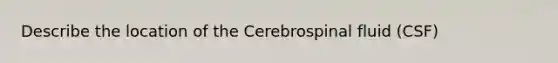 Describe the location of the Cerebrospinal fluid (CSF)