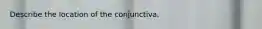 Describe the location of the conjunctiva.