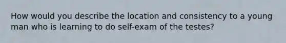 How would you describe the location and consistency to a young man who is learning to do self-exam of the testes?