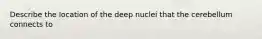 Describe the location of the deep nuclei that the cerebellum connects to