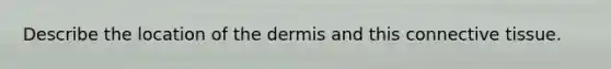 Describe the location of <a href='https://www.questionai.com/knowledge/kEsXbG6AwS-the-dermis' class='anchor-knowledge'>the dermis</a> and this <a href='https://www.questionai.com/knowledge/kYDr0DHyc8-connective-tissue' class='anchor-knowledge'>connective tissue</a>.