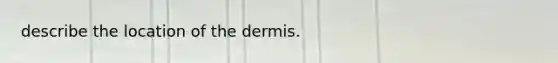 describe the location of the dermis.