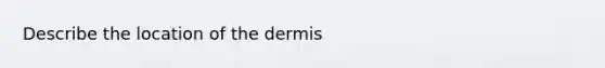 Describe the location of the dermis