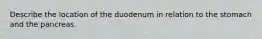 Describe the location of the duodenum in relation to the stomach and the pancreas.