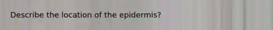 Describe the location of the epidermis?