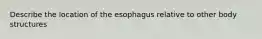 Describe the location of the esophagus relative to other body structures