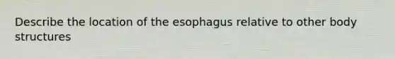 Describe the location of the esophagus relative to other body structures