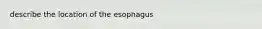 describe the location of the esophagus