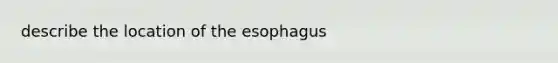 describe the location of the esophagus