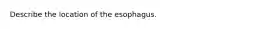 Describe the location of the esophagus.