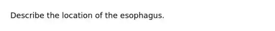 Describe the location of the esophagus.