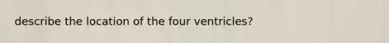 describe the location of the four ventricles?