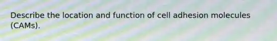 Describe the location and function of cell adhesion molecules (CAMs).