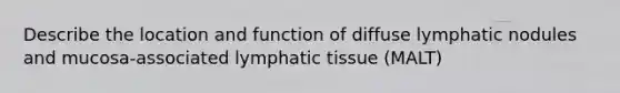 Describe the location and function of diffuse lymphatic nodules and mucosa-associated lymphatic tissue (MALT)