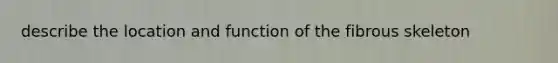 describe the location and function of the fibrous skeleton