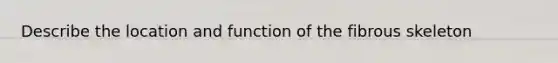 Describe the location and function of the fibrous skeleton