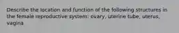 Describe the location and function of the following structures in the female reproductive system: ovary, uterine tube, uterus, vagina