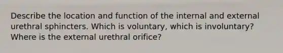 Describe the location and function of the internal and external urethral sphincters. Which is voluntary, which is involuntary? Where is the external urethral orifice?