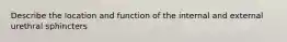 Describe the location and function of the internal and external urethral sphincters