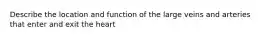 Describe the location and function of the large veins and arteries that enter and exit the heart