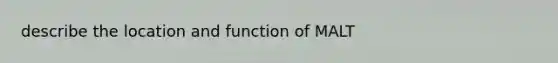 describe the location and function of MALT