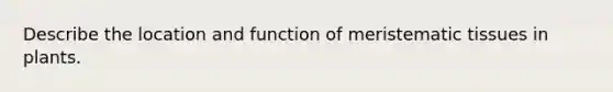 Describe the location and function of meristematic tissues in plants.