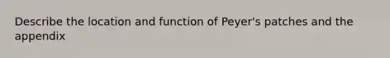 Describe the location and function of Peyer's patches and the appendix