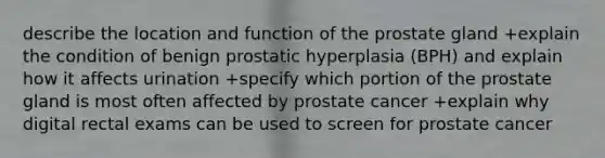 describe the location and function of the prostate gland +explain the condition of benign prostatic hyperplasia (BPH) and explain how it affects urination +specify which portion of the prostate gland is most often affected by prostate cancer +explain why digital rectal exams can be used to screen for prostate cancer