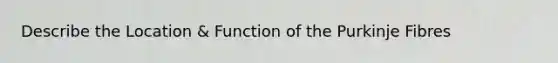 Describe the Location & Function of the Purkinje Fibres