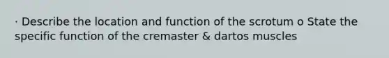 · Describe the location and function of the scrotum o State the specific function of the cremaster & dartos muscles