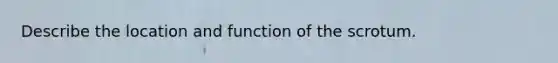 Describe the location and function of the scrotum.