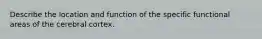 Describe the location and function of the specific functional areas of the cerebral cortex.
