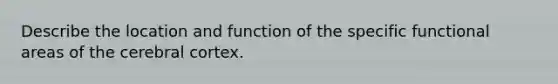 Describe the location and function of the specific functional areas of the cerebral cortex.