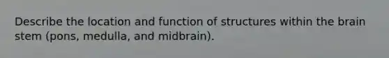 Describe the location and function of structures within the brain stem (pons, medulla, and midbrain).