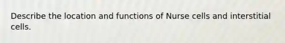 Describe the location and functions of Nurse cells and interstitial cells.